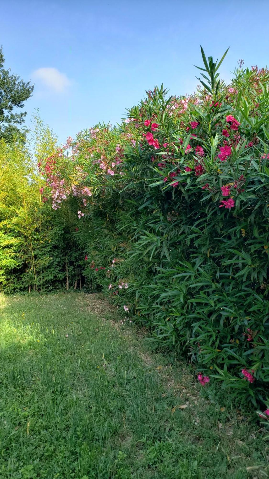 Villa Les Airis à Avignon Extérieur photo