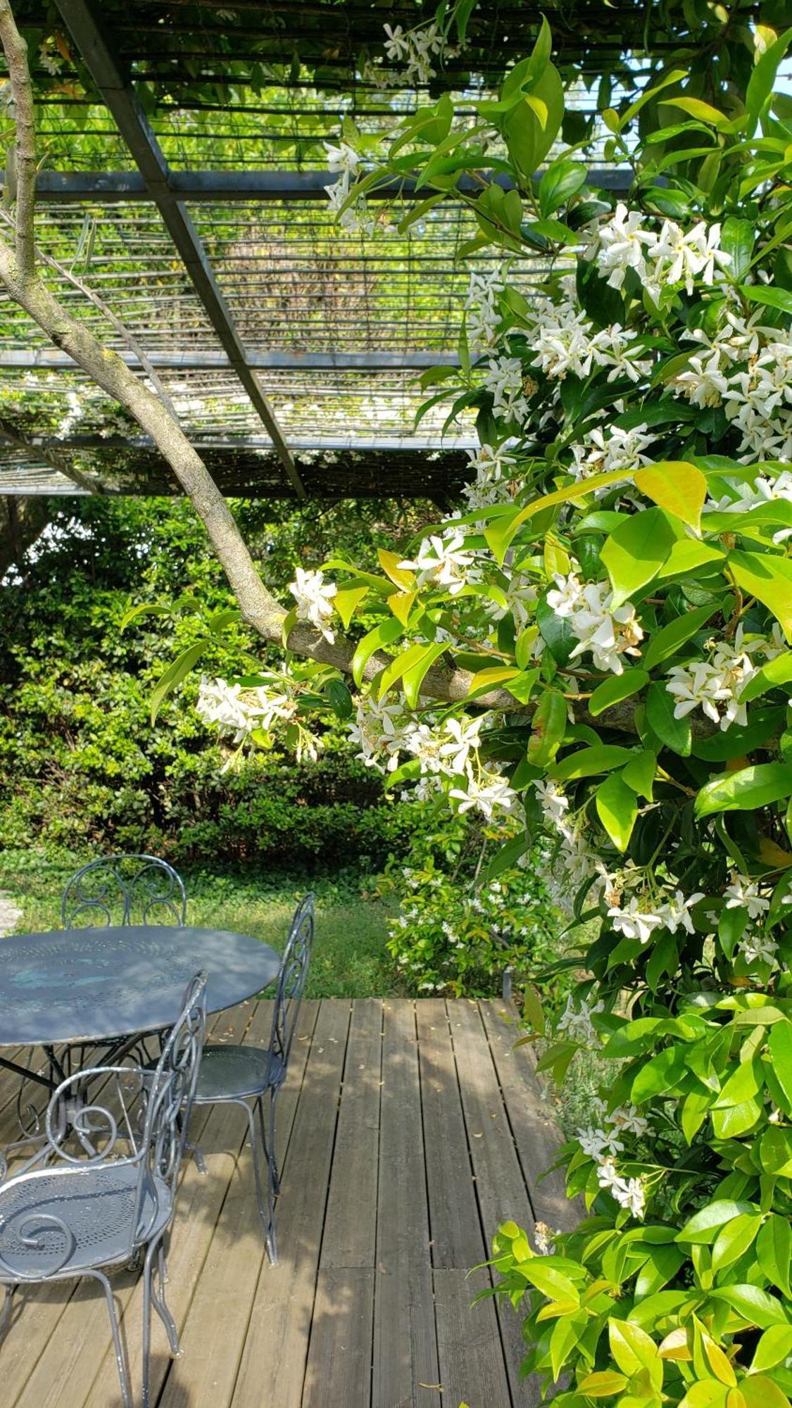Villa Les Airis à Avignon Extérieur photo